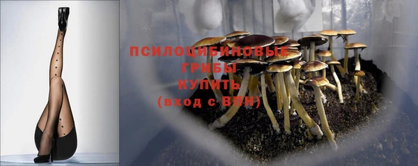 трава Наволоки