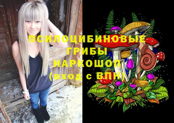 спайс Михайлов