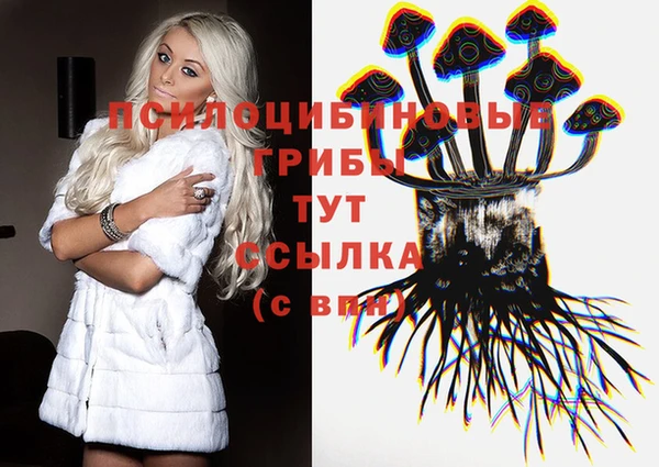 трава Наволоки