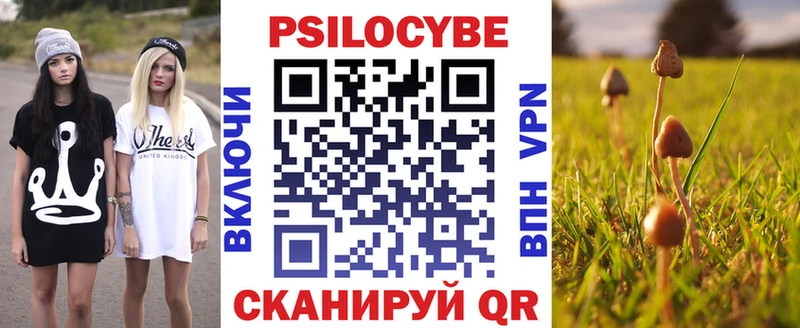 hydra маркетплейс  Татарск  Псилоцибиновые грибы Cubensis  цена  