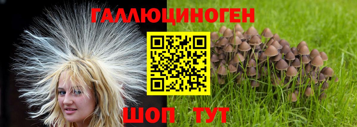 Галлюциногенные грибы мицелий  Галлюциногенные грибы Cubensis  Татарск  Вход с VPN 