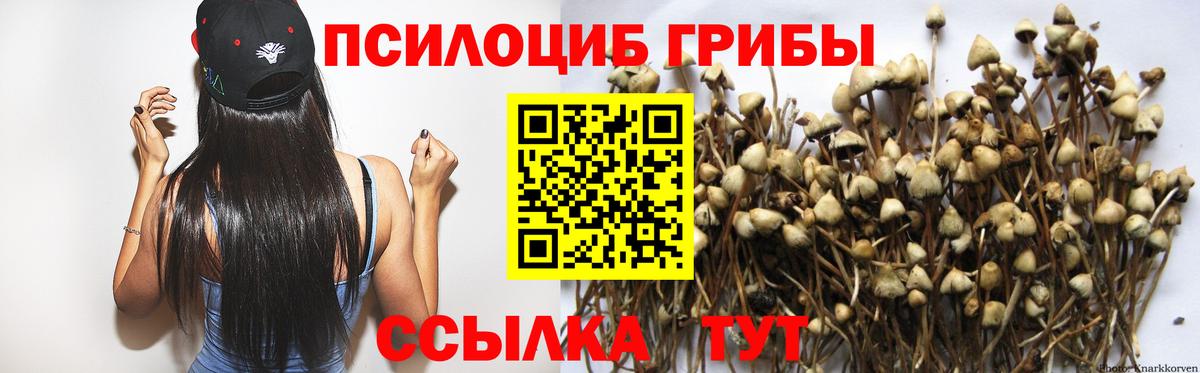 Псилоцибиновые грибы MAGIC MUSHROOMS Татарск